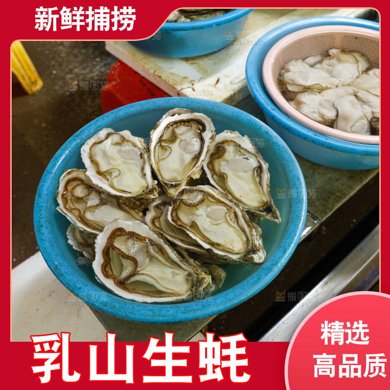 海鲜市场鲜活生蚝