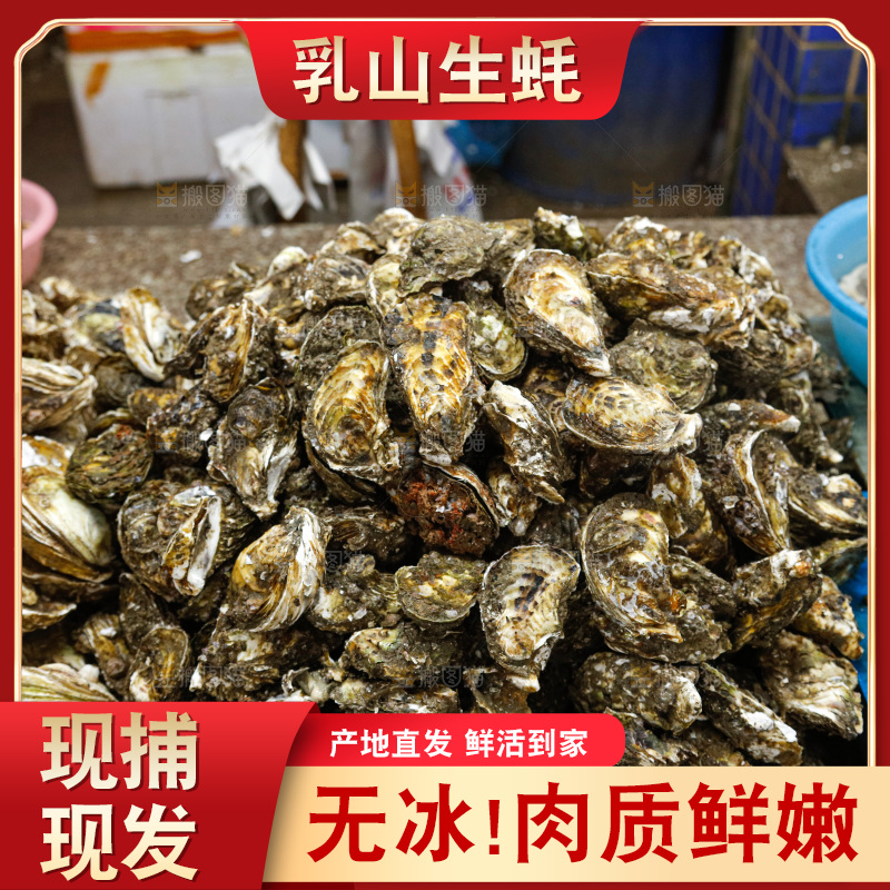 海鲜市场鲜活生蚝