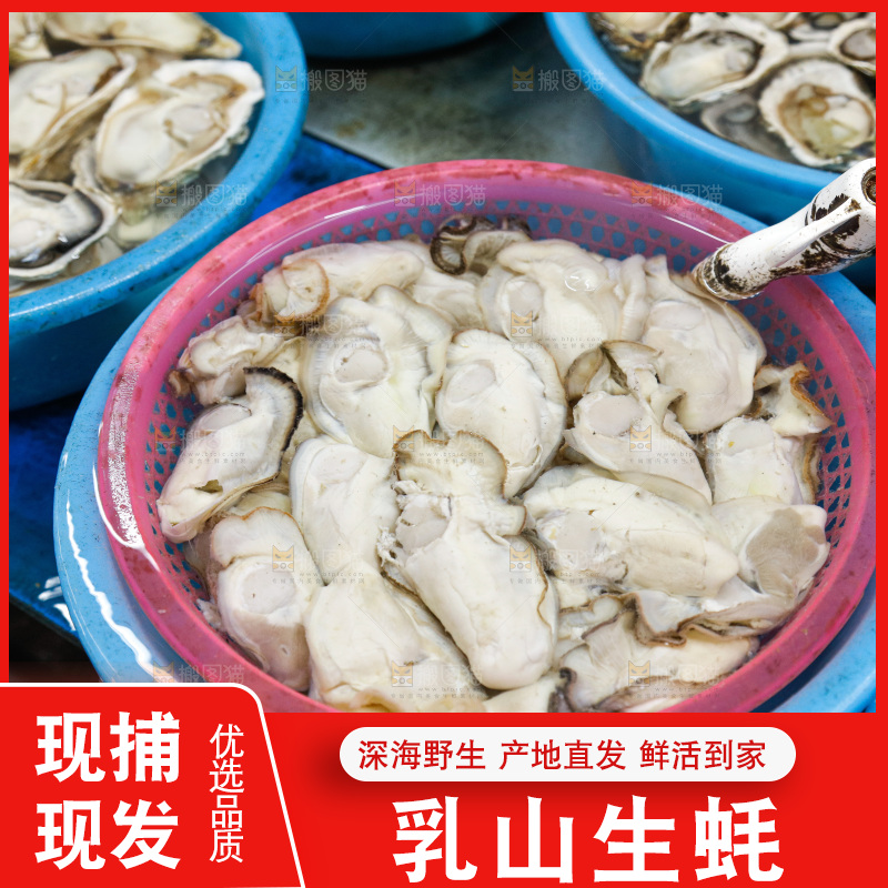 海鲜市场鲜活生蚝