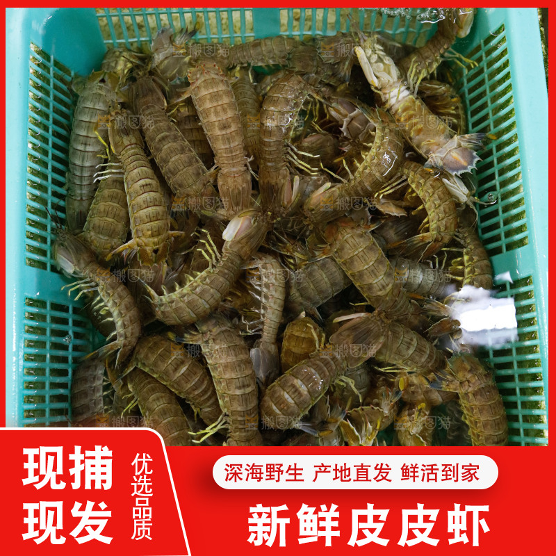 皮皮虾海鲜 海产品