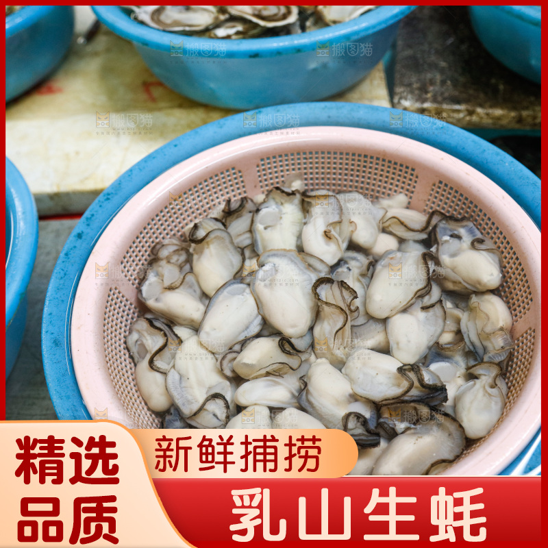 海鲜市场鲜活生蚝