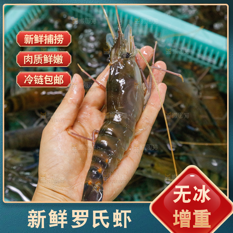 海鲜市场罗氏虾