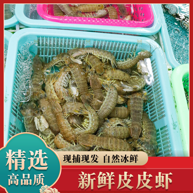 皮皮虾海鲜 海产品
