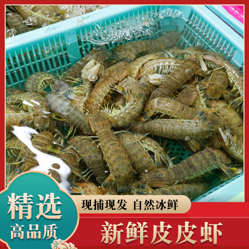 皮皮虾海鲜 海产品