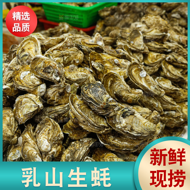 海鲜市场鲜活生蚝