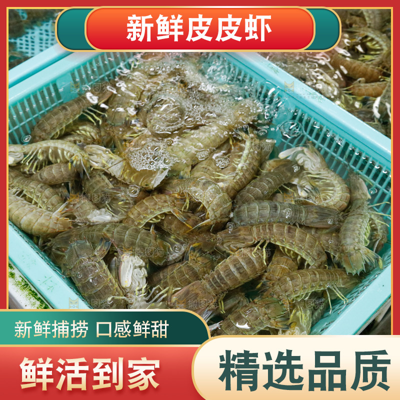 皮皮虾海鲜 海产品