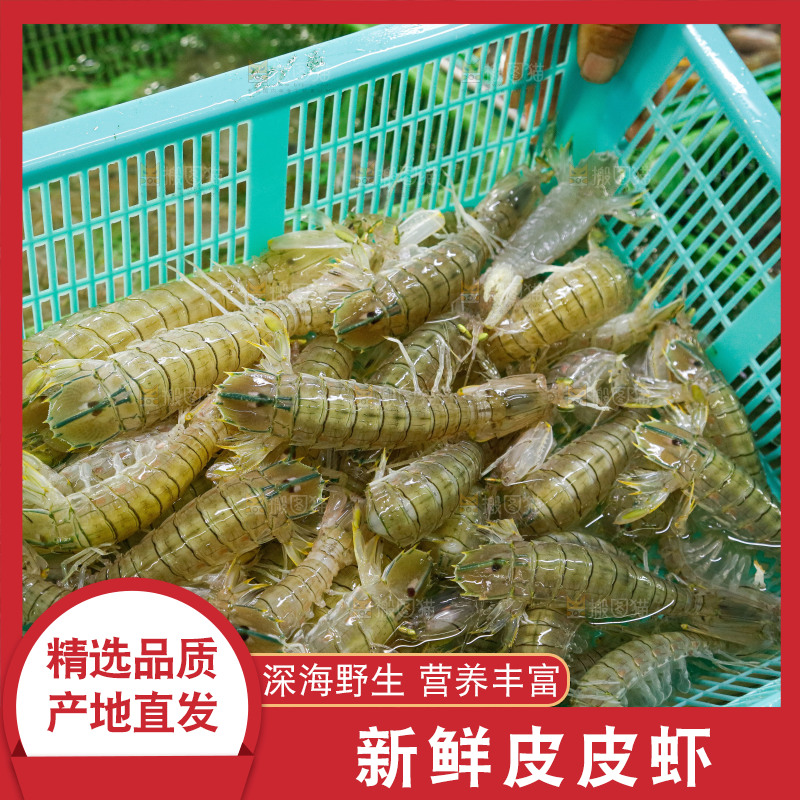 皮皮虾海鲜 海产品
