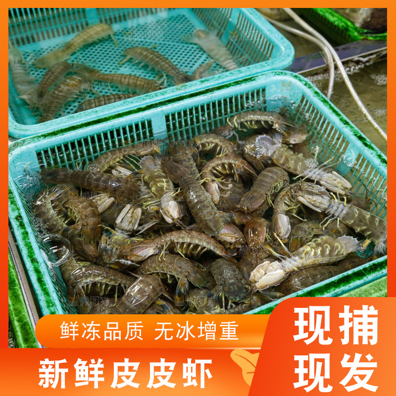 皮皮虾水产