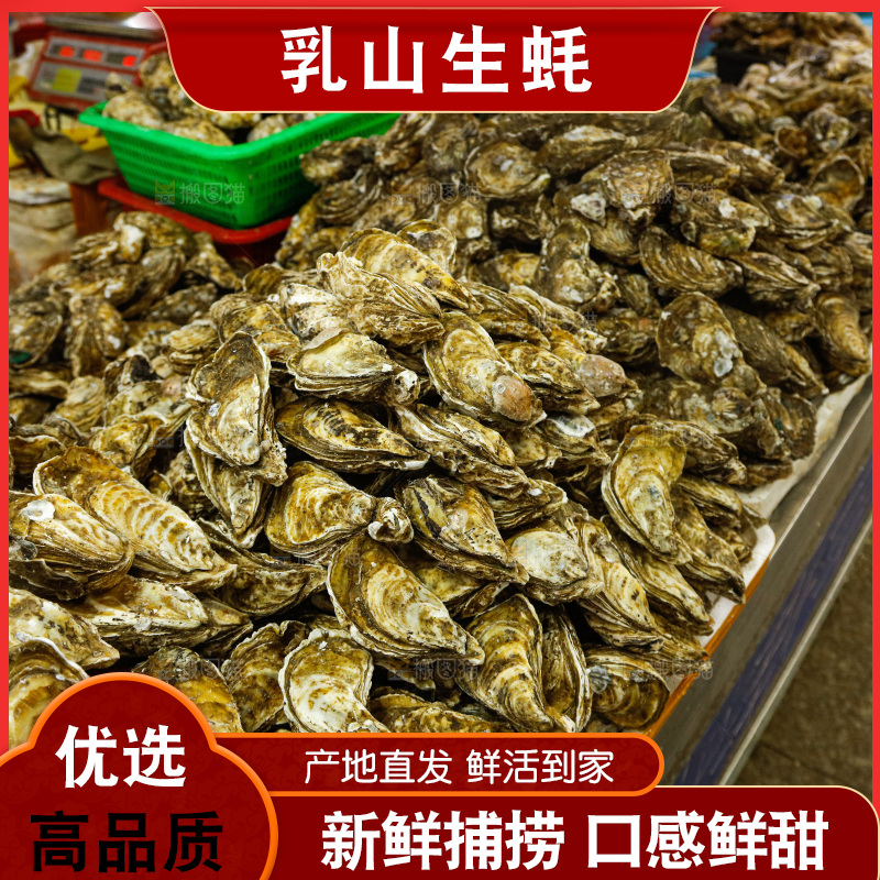 海鲜市场鲜活生蚝