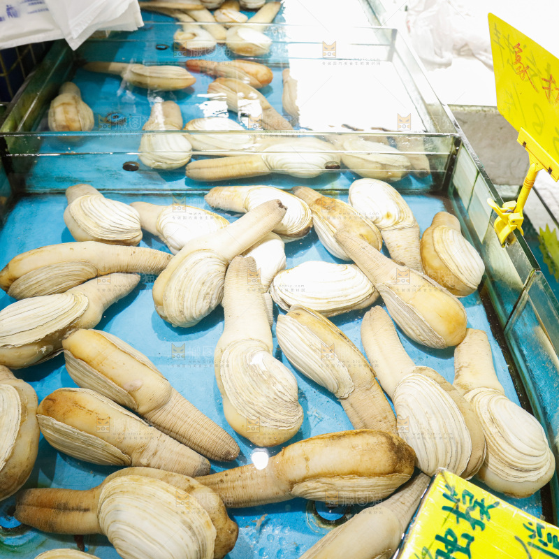 海鲜市场象牙蚌