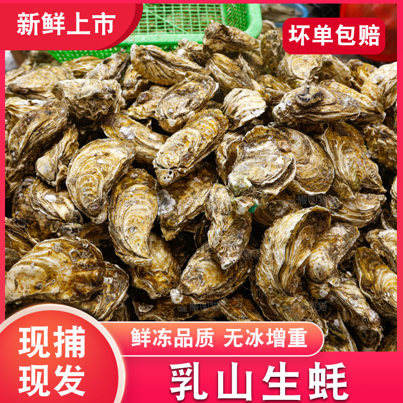 海鲜市场鲜活生蚝