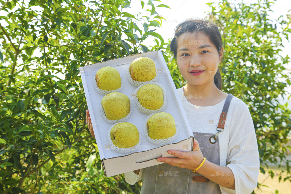 手里拿着一盒砀山梨