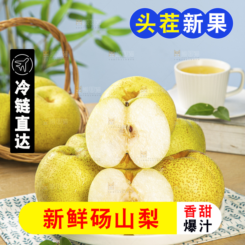 浅底上的砀山梨
