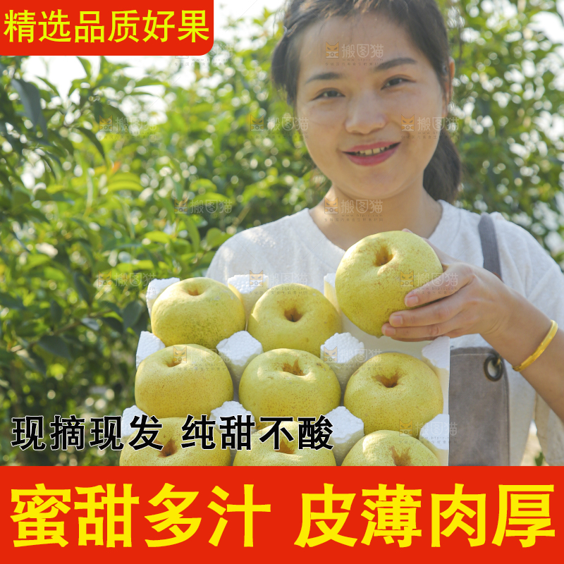手里拿着一盒砀山梨