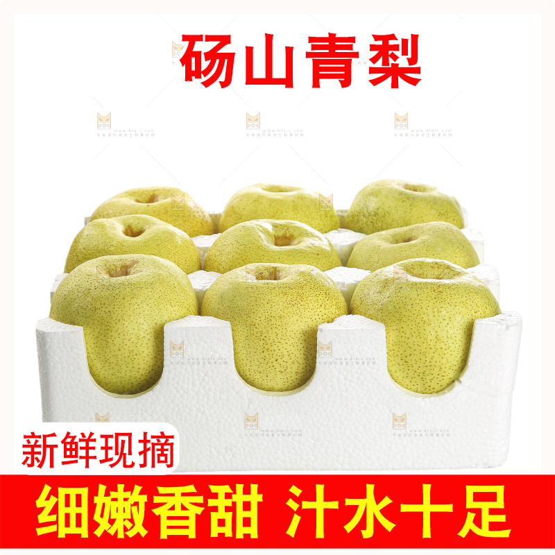 白底上的砀山酥梨