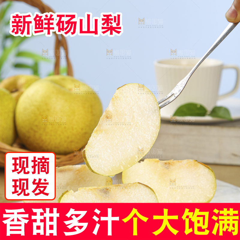 浅底上的砀山梨