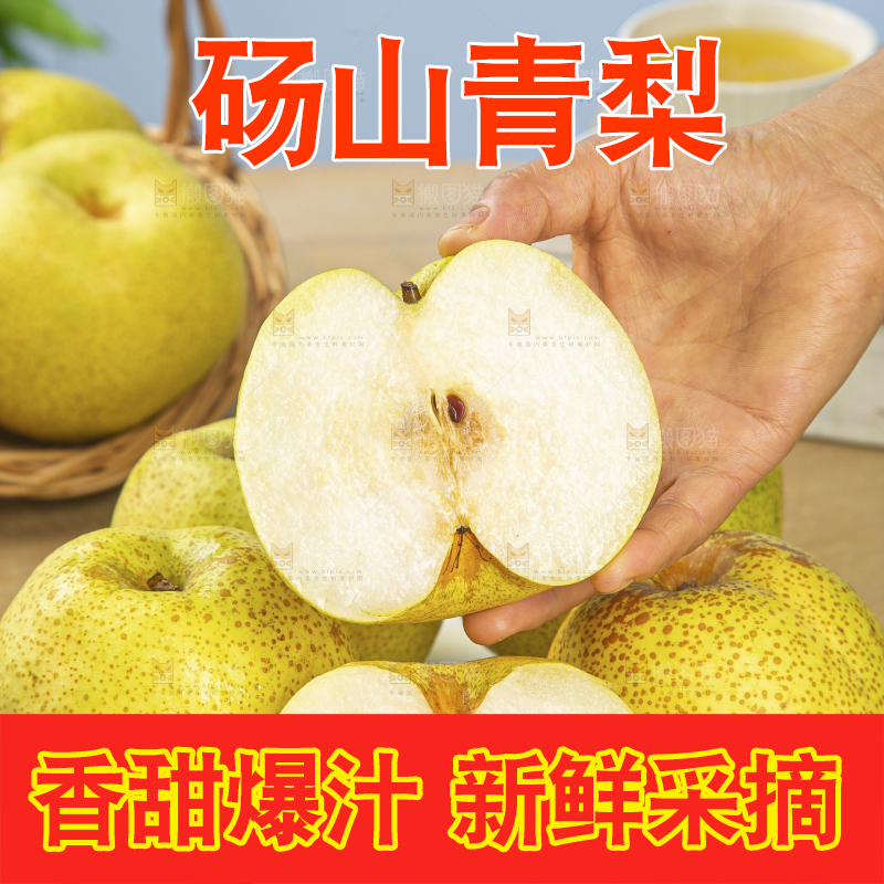 浅底上的砀山梨