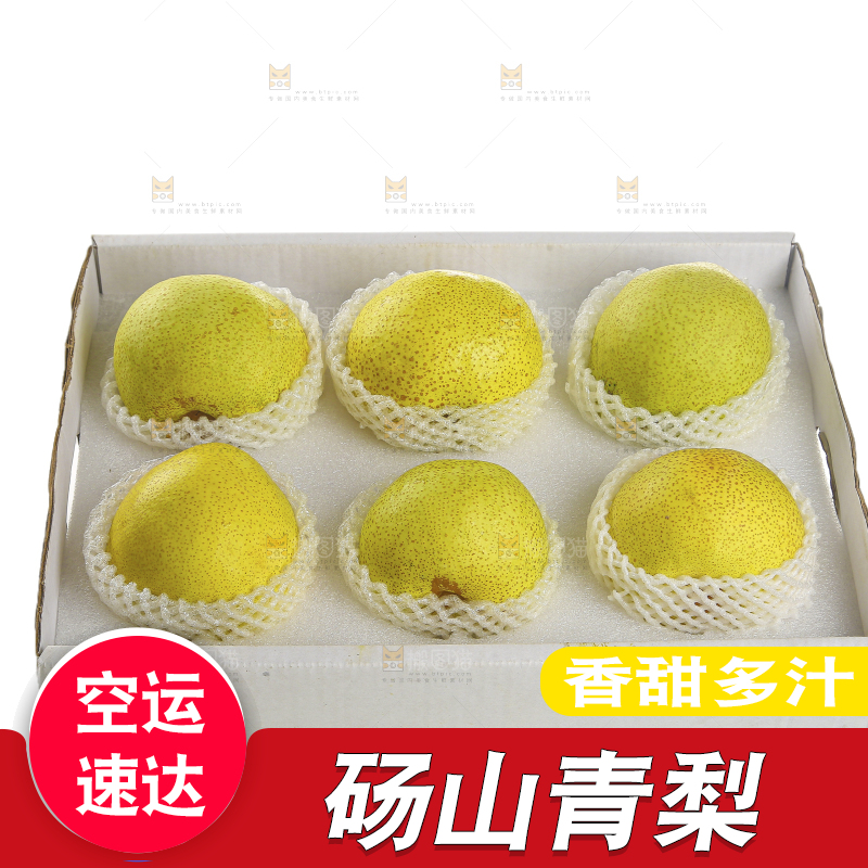 白底上的砀山酥梨