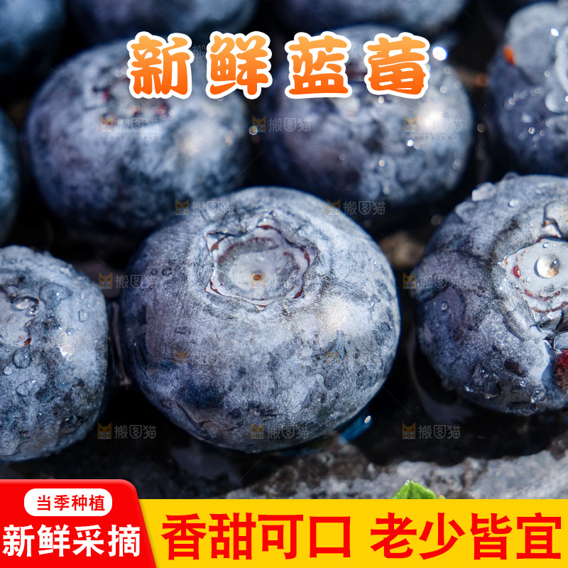 深底上的怡颗莓