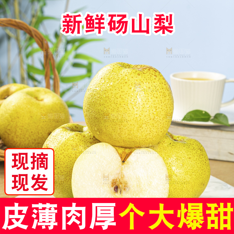 浅底上的砀山梨