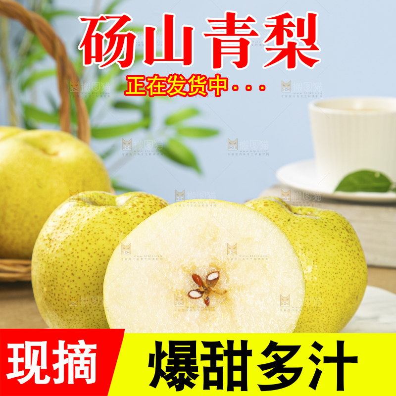 浅底上的砀山梨