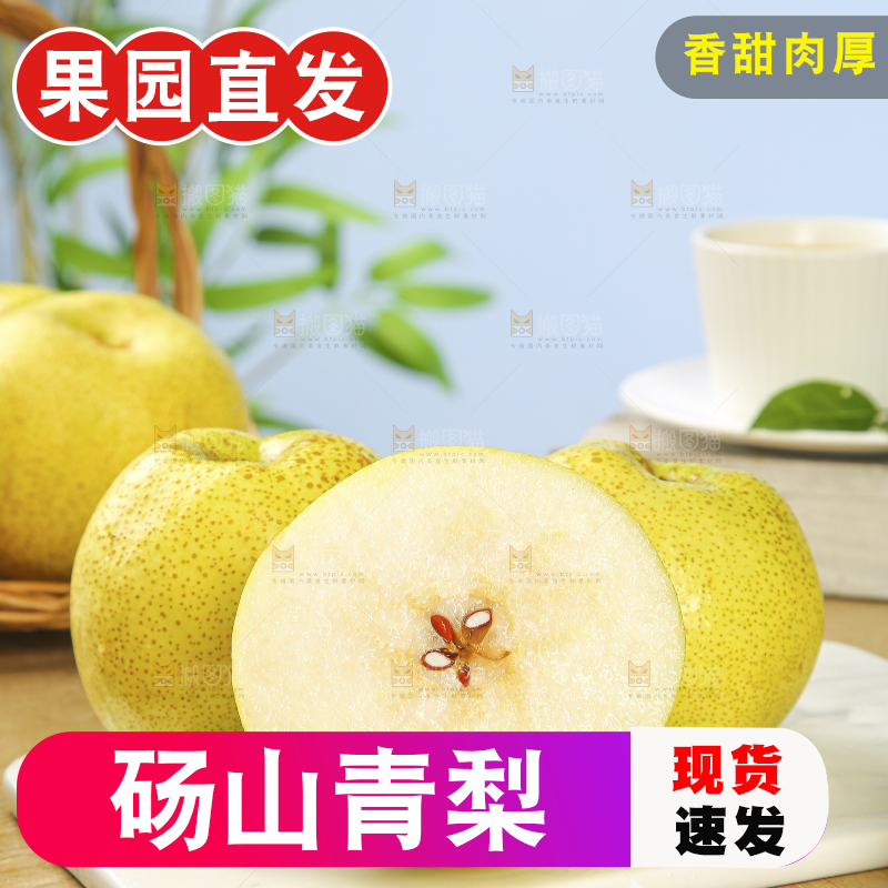 浅底上的砀山梨