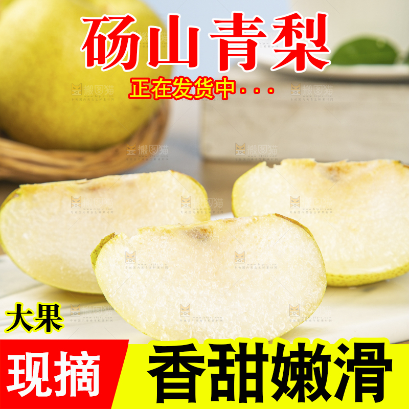 浅底上的砀山梨