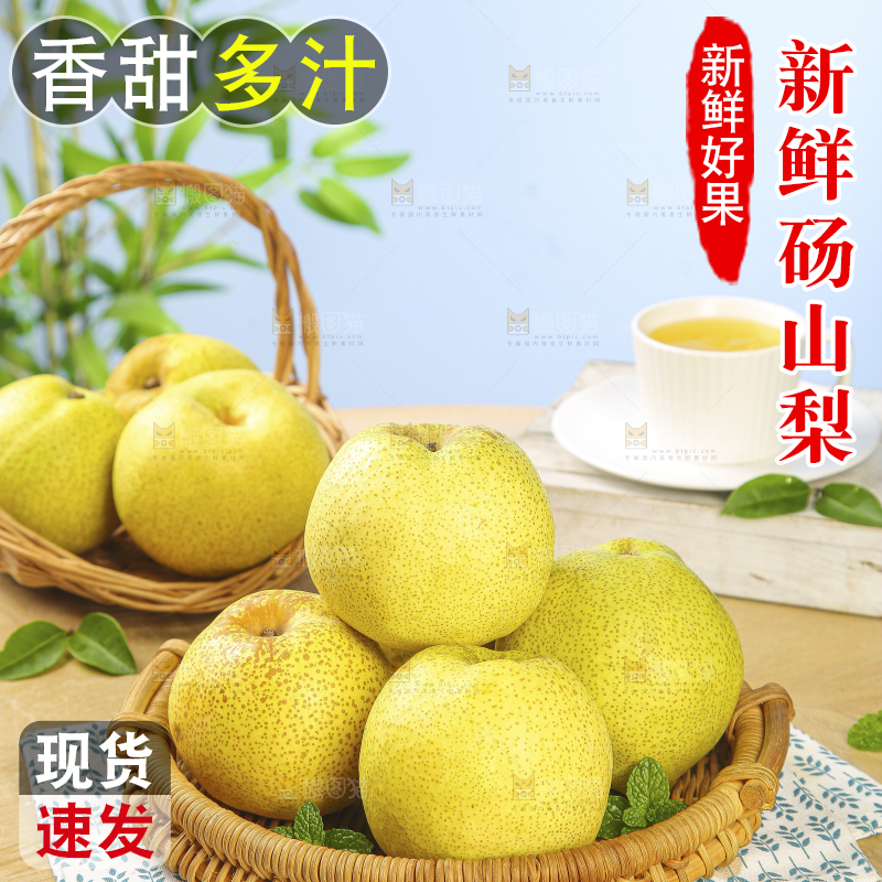 浅底上的砀山梨