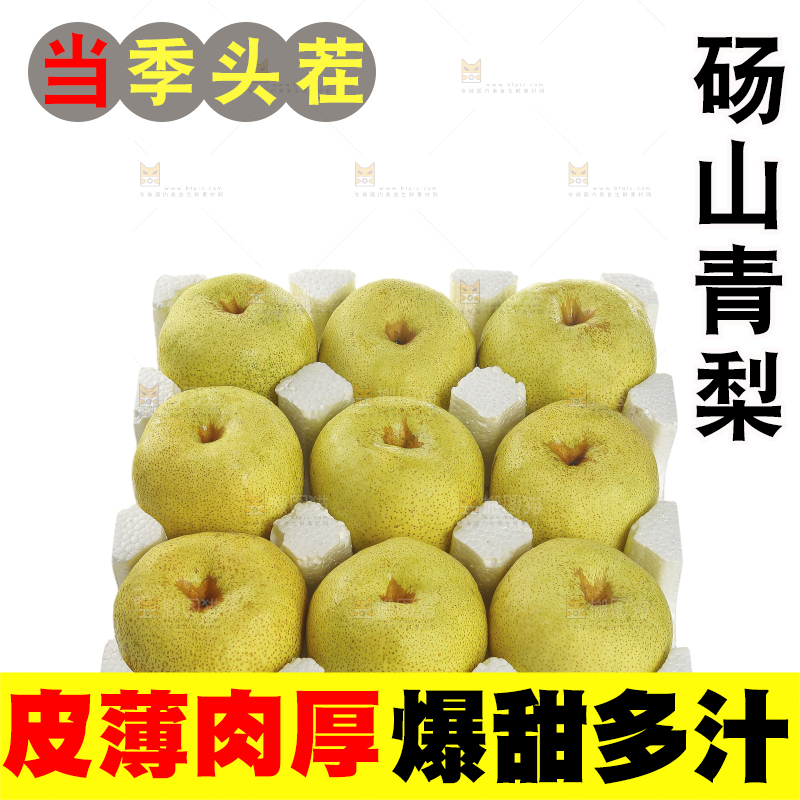 白底上的砀山酥梨