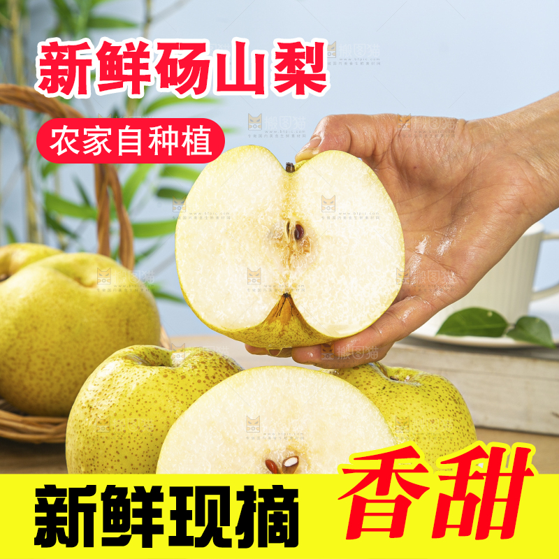 浅底上的砀山梨