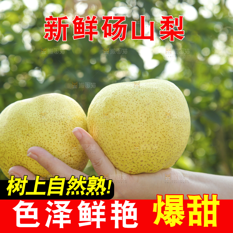 手里拿着一盒砀山梨