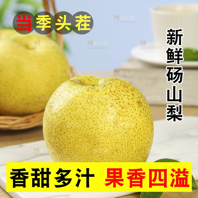 浅底上的砀山梨