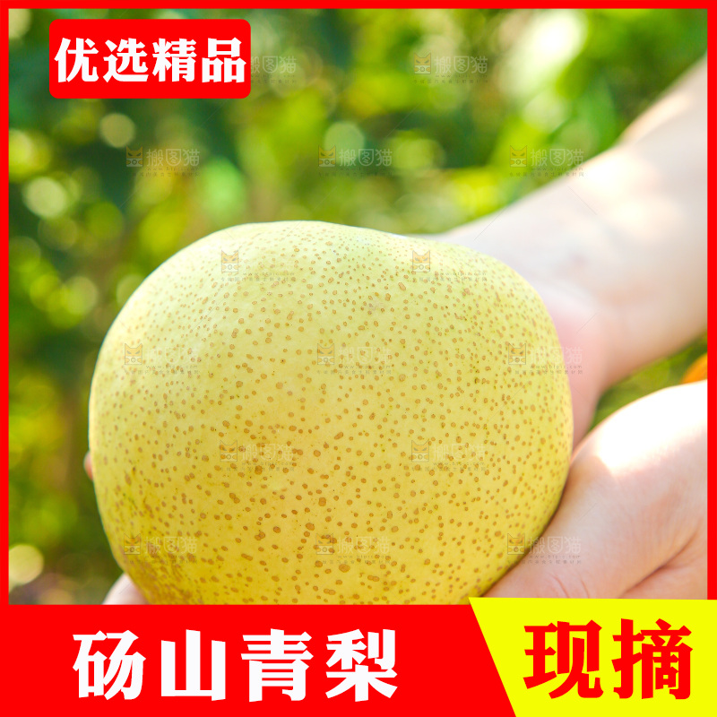 手里拿着一盒砀山梨