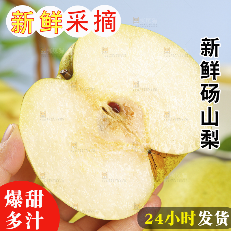 浅底上的砀山梨