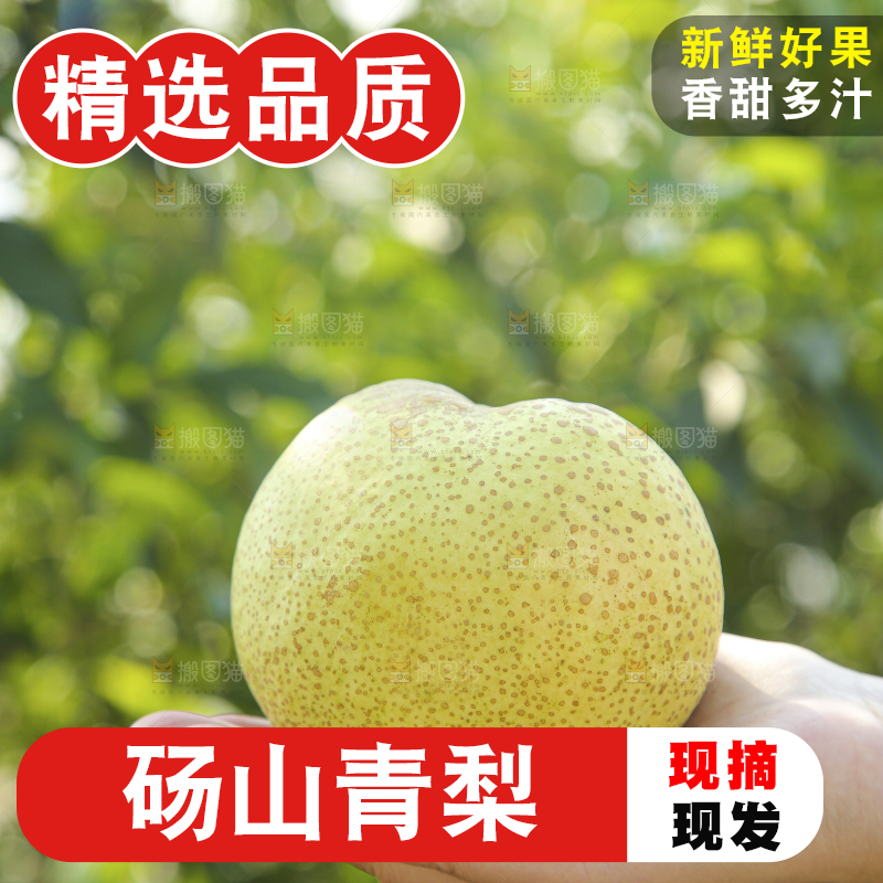 手里拿着一盒砀山梨