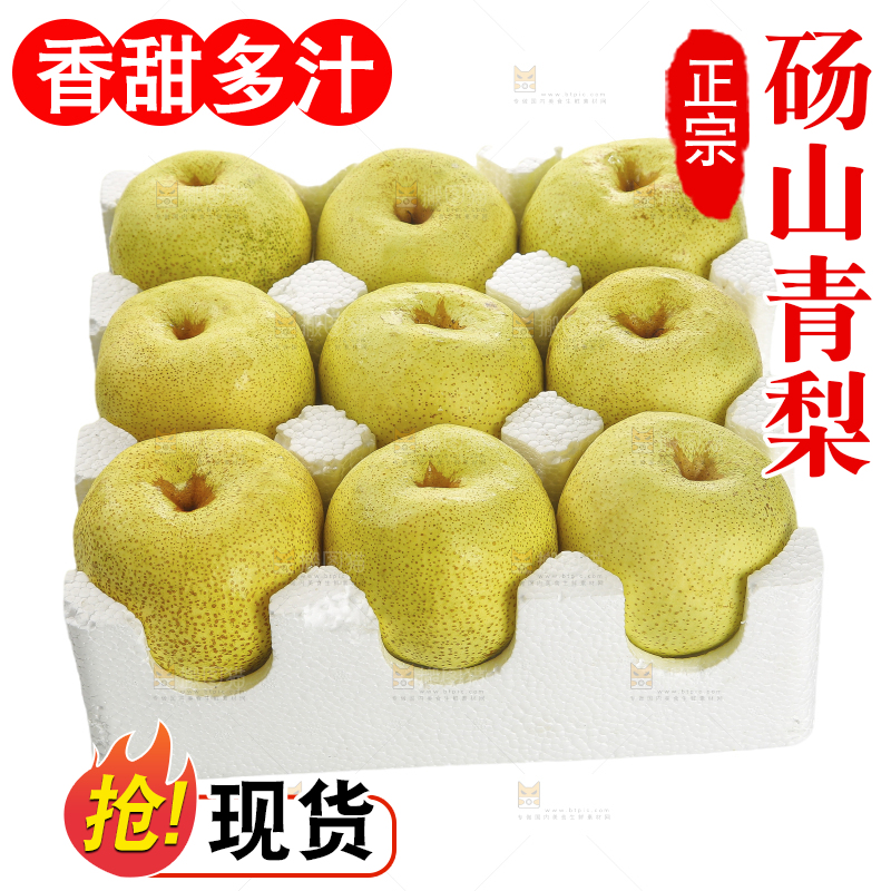 白底上的砀山酥梨