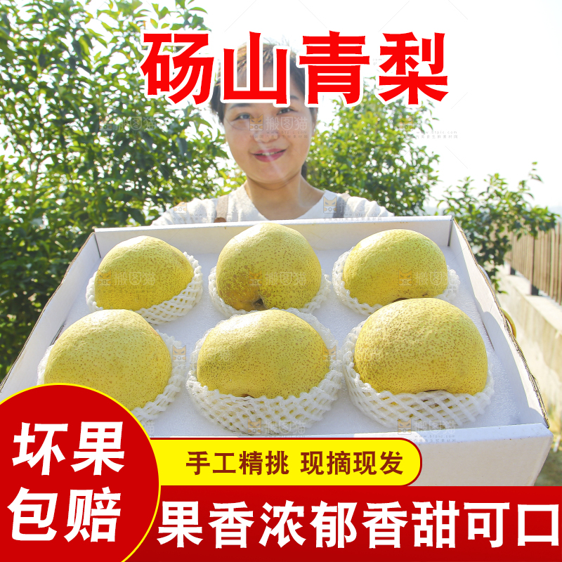 手里拿着一盒砀山梨