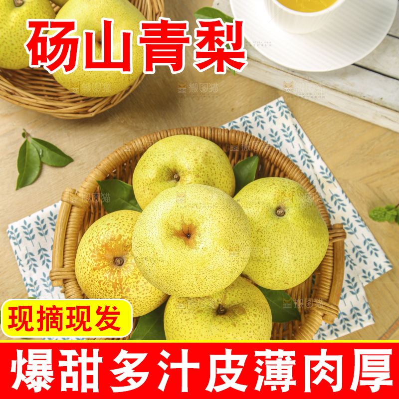 浅底上的砀山梨