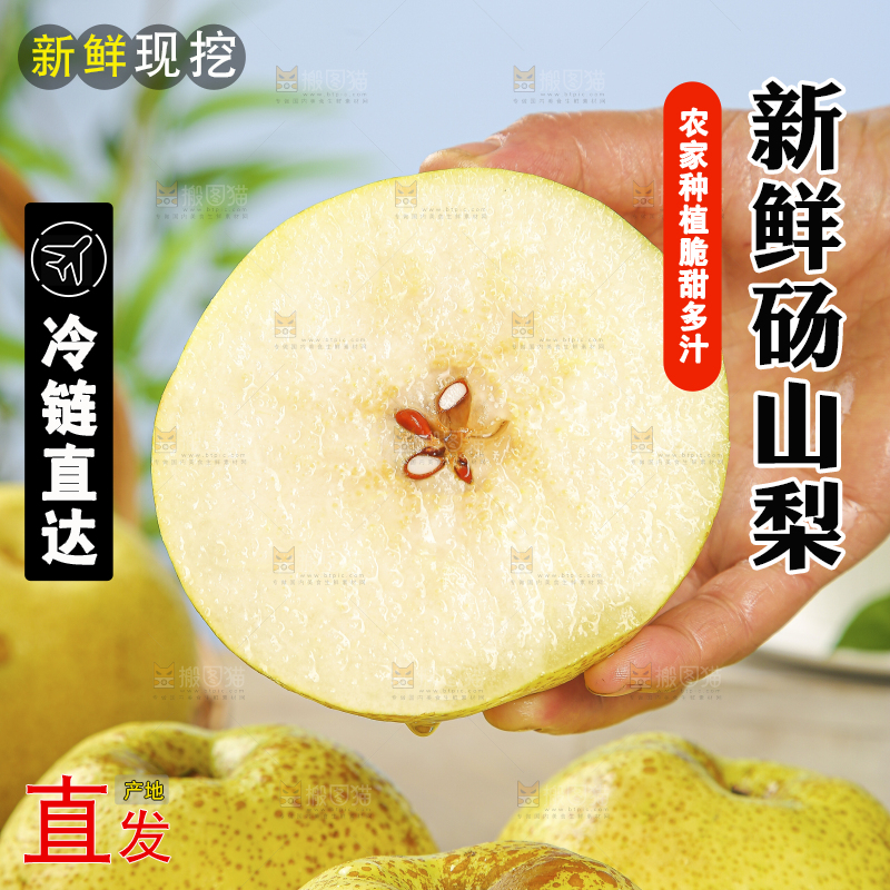 浅底上的砀山梨