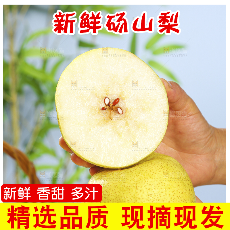 浅底上的砀山梨