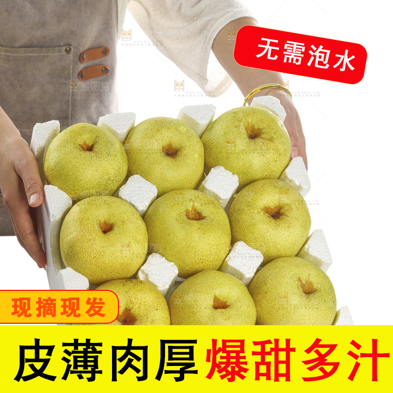 白底上的砀山酥梨