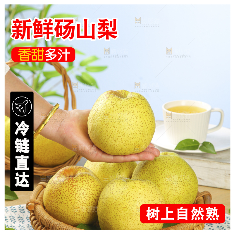 浅底上的砀山梨