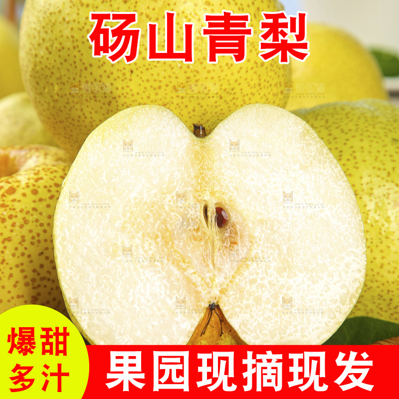 浅底上的砀山梨