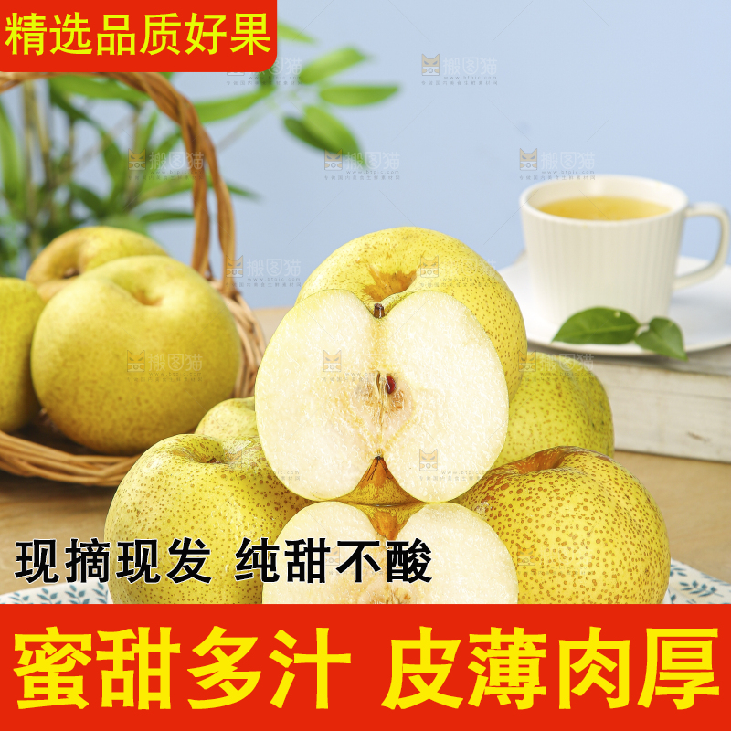 浅底上的砀山梨