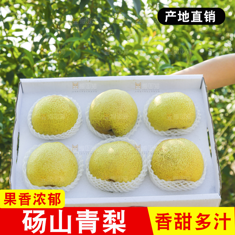 手里拿着一盒砀山梨