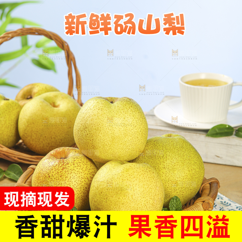浅底上的砀山梨