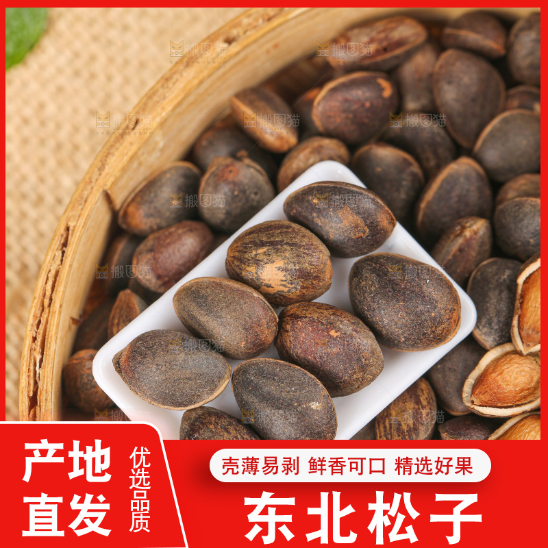浅底上的新鲜松子