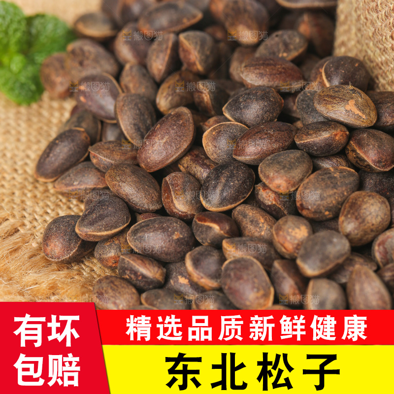 浅底上的新鲜松子