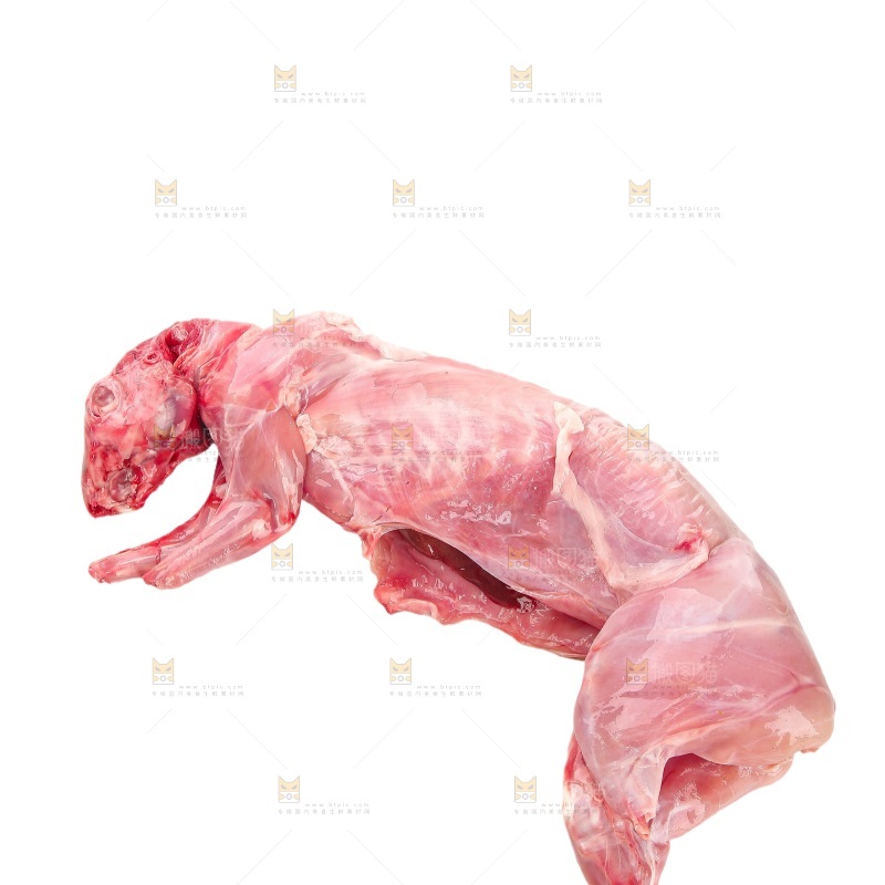 白底上的新鲜兔肉
