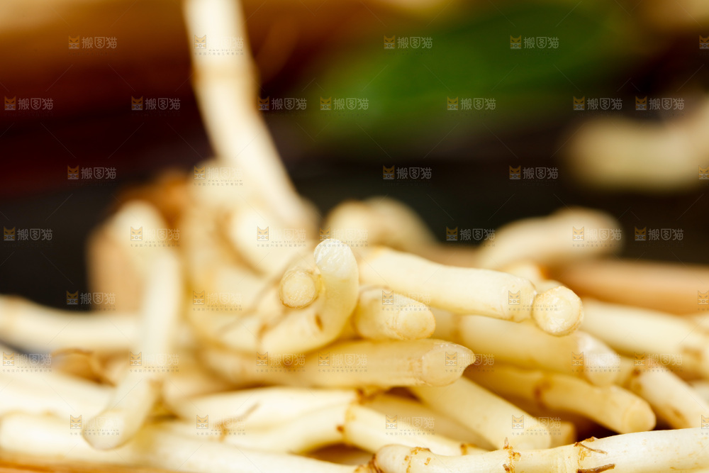 深底上的折耳根